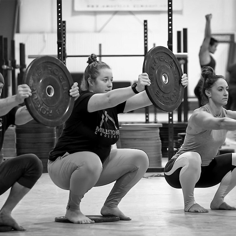 Program Barbell Mobility